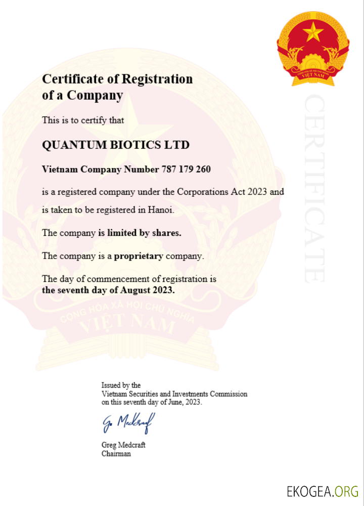 Modèle Word et PDF de certificat d'enregistrement d'entreprise au Vietnam template